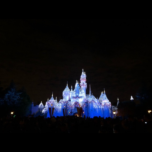 Meet your Posher, Ella - Picture 1 of 1